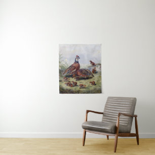 Tapete De Parede Vintage Painting Of Quail Bird Fitzwilliam Tait