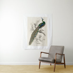 Tapete De Parede Vintage Peacock Natural History Impressão