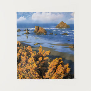 Tapete De Parede Vista da Praia de Oregon em Bandon