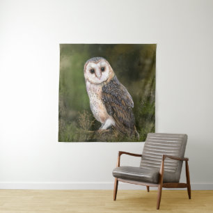 Tapete De Parede Western Barn Owl - Imagem de Cores-d'Água