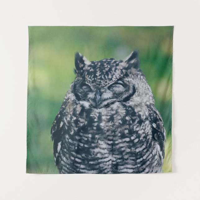 TAPETE DE PAREDE WILL OWL NA FLORESTA FRANCESA (Frente)