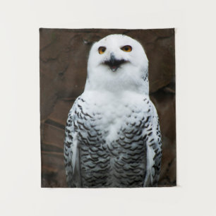 Tapete De Parede Wtcn Snowy Owl