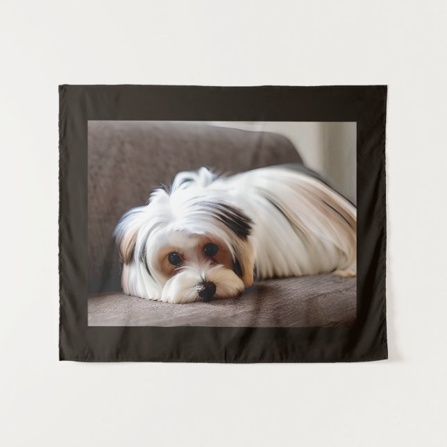 Tapete De Parede Yorkie, Yorkshire Terrier, passando por Ennui (Frente (Horizontal))