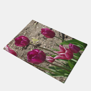 tapete de porta de Tulipas roxas