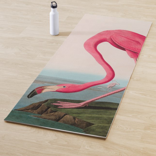 Tapete De Yoga American Flamingo Birds of America Audubon Impress (In Situ)