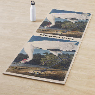 Tapete De Yoga Arte da Natureza de Audubon Grou Americano Vintage
