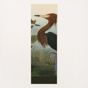 Tapete De Yoga Arte de Pássaro: Gravura do Garça Roxa de Audubon: