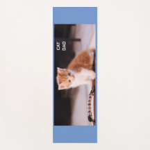 Azul, "Pai de Gato", Orange Kitten