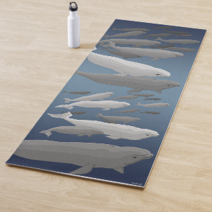 Tapete De Yoga Beluga Baleia Yoga Mats