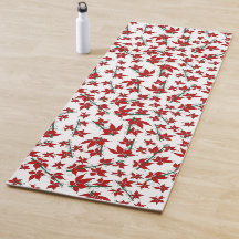 Botânico floral vermelho de Natal