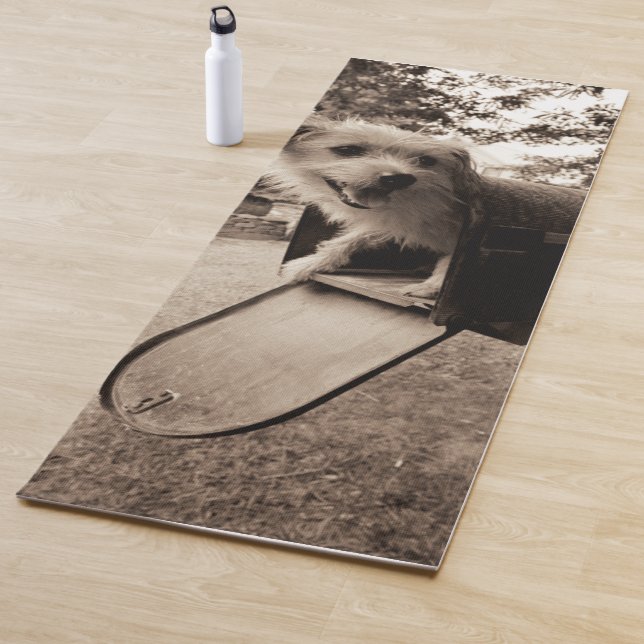 Tapete De Yoga Cão dentro de uma caixa postal (In Situ)