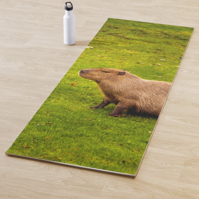 Tapete De Yoga Capivara (In Situ)