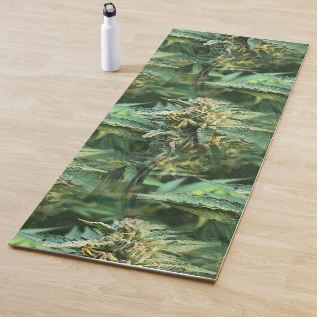 Tapete De Yoga Cushman.... (In Situ)