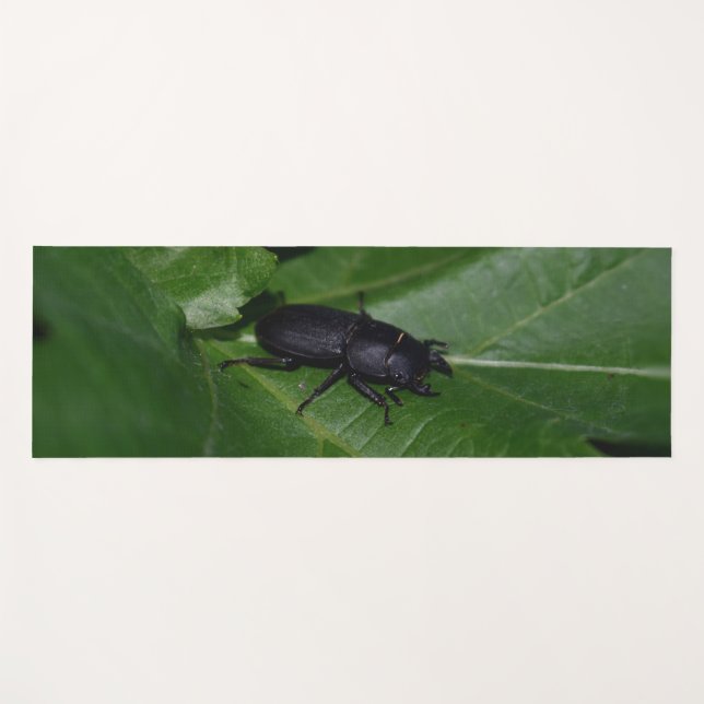 Tapete De Yoga Dorcus parallelipipedus , o escaravelho inferior (Frente (Horizontal))