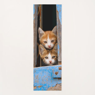 Tapete De Yoga Gatinhos Gatos Bonitos em uma foto de janela azul