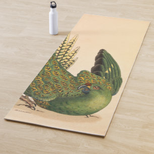 Tapete De Yoga Papagaio-terrestre de James Sowerby, Psittacus ter