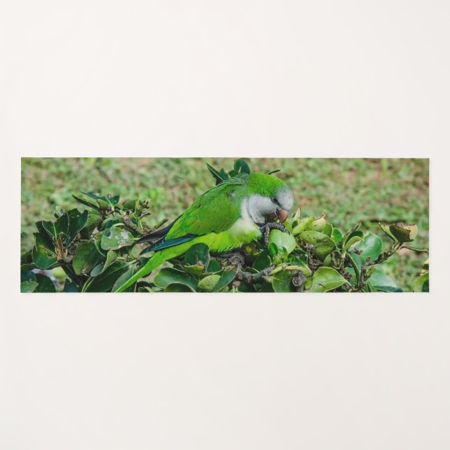 Tapete De Yoga Papagaio verde (Frente (Horizontal))