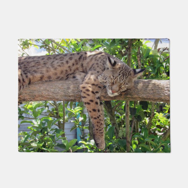 Tapete Descansando Bobcat Doormat (Frente)