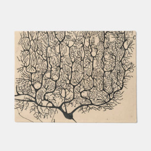 Tapete Desenho De Neuron Por Santiago Ramón Y Cajal
