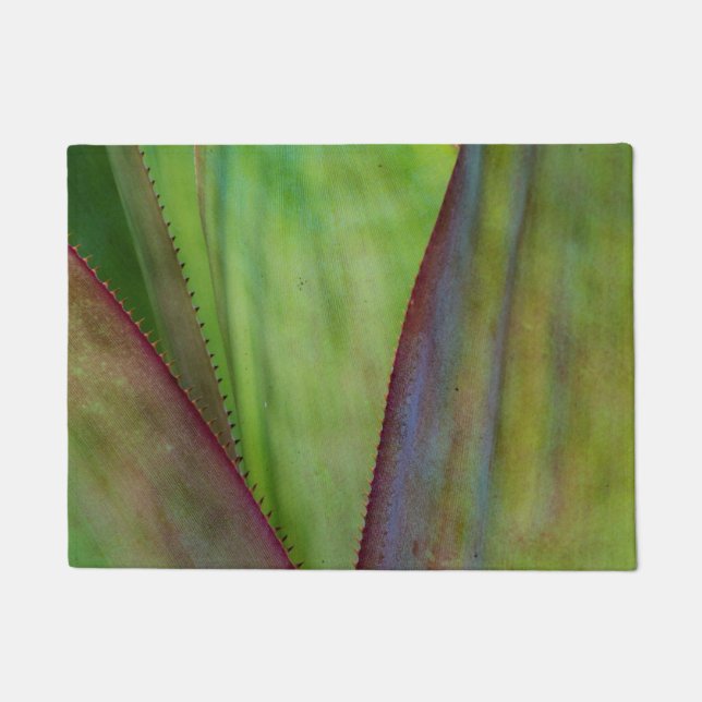 Tapete Detalhe da Planta Agave (Frente)