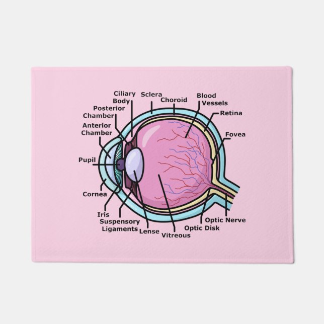 Tapete Diagrama ocular (Frente)