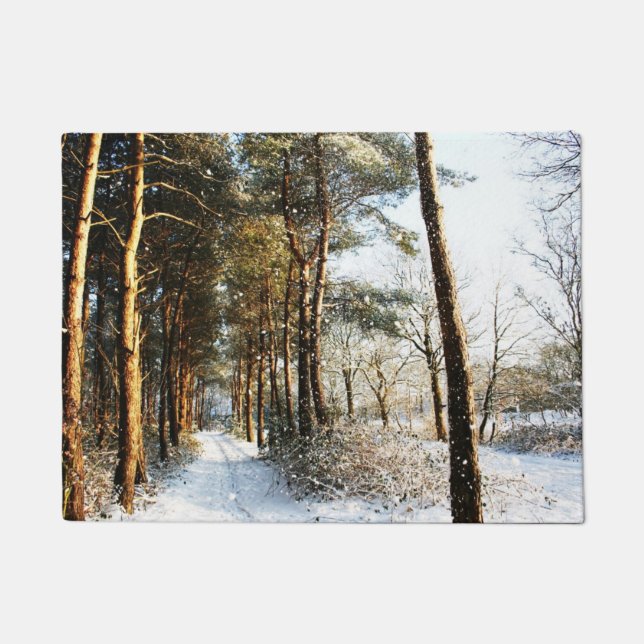 Tapete dmcna de cena de neve da floresta (Frente)