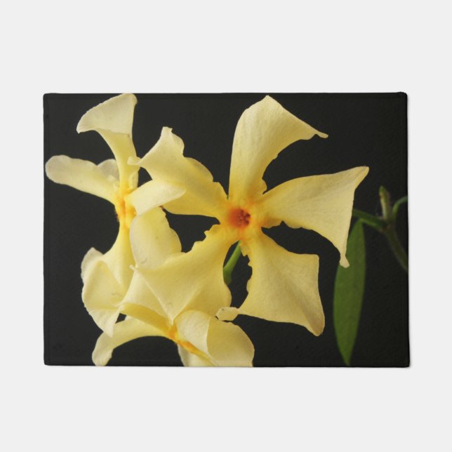 Tapete Dmcna de Flores de Jasmine Estrela (Frente)