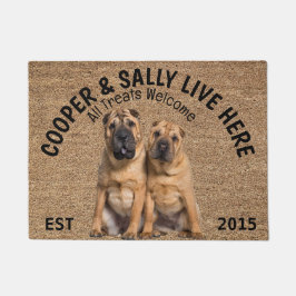 Tapete Dois Cachorros Personalizados Shar Pei