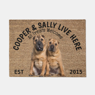 Tapete Dois Cachorros Personalizados Shar Pei