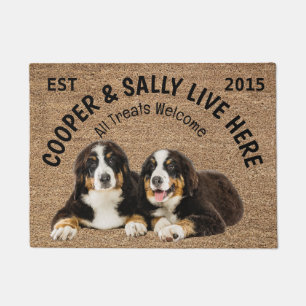 Tapete Dois Cães Berneses Montanhosos Personalizados ao L