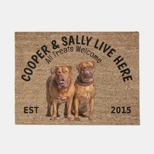 Tapete Dois Cães Personalizados de Bordéus