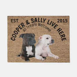Tapete Dois Staffordshire Bull Terriers Personalizados