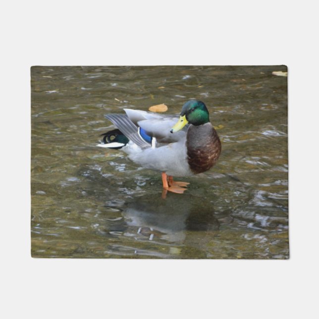 Tapete Doormat da pose do pato do pato selvagem (Frente)