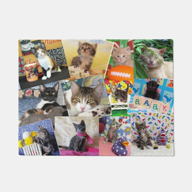 Tapete Doormat Louco (18 X 24) (Frente)