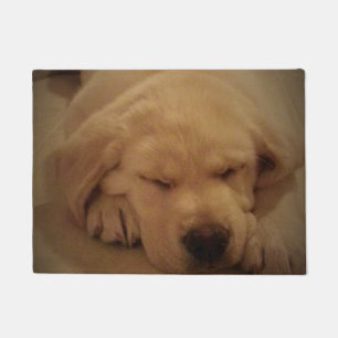 Tapete Dormir com um pãozinho amarelo