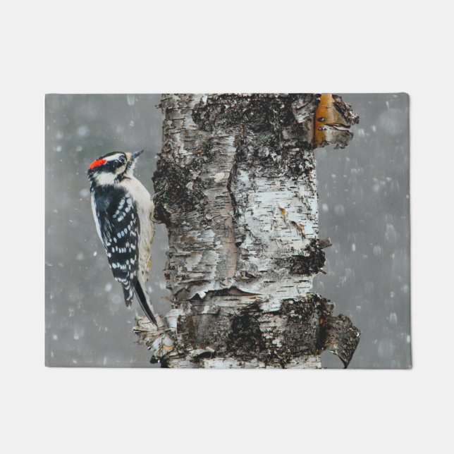 Tapete Downy Woodpecker em Neve - Foto Original (Frente)
