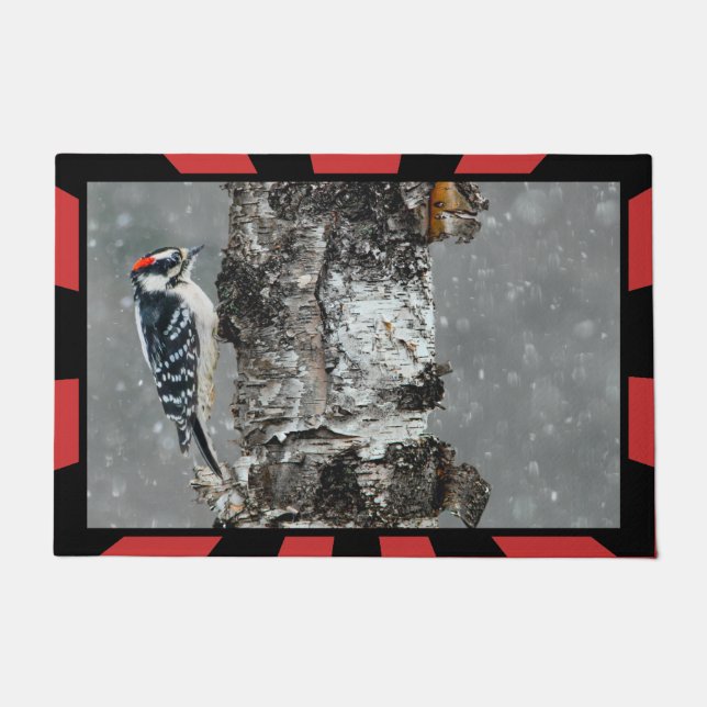 Tapete Downy Woodpecker em Neve - Foto Original (Frente)