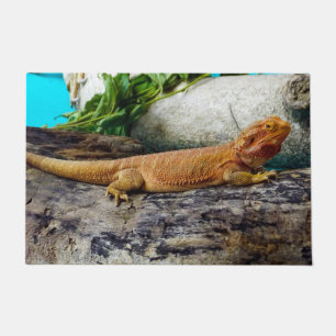 Tapete Dragão de Barba Adulta Lizard