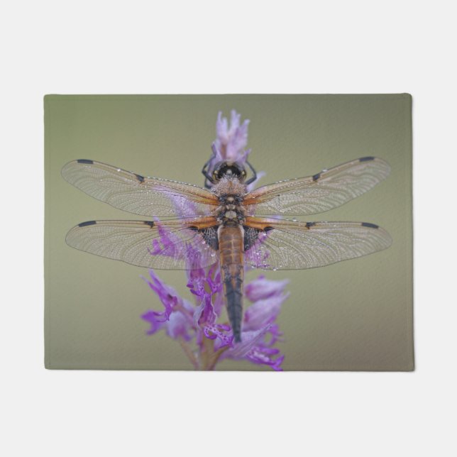 Tapete Dragonfly Door Mat (Frente)