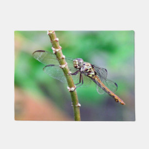 Tapete Dragonfly Doormat