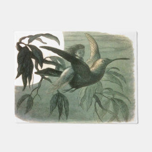 Tapete Elf Fairies Elves Moon Night Bird Voando