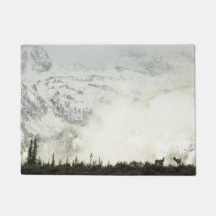 Tapete Elk no Grand Teton National Park Fotografia