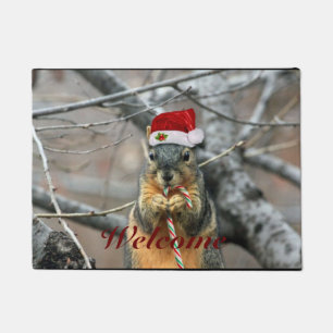 Tapete Esquilo do Natal
