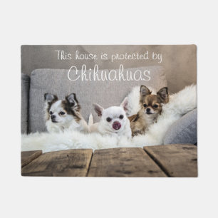 Tapete Esta Casa Está Protegida Por Chihuahuas Doormat
