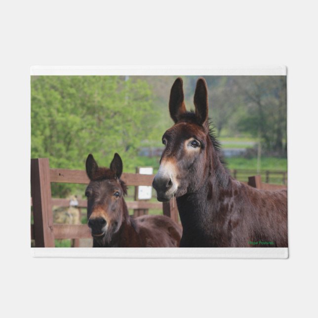 Tapete Esteira de porta do muffin & dos Cocos (Frente)