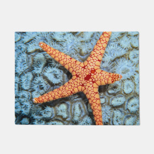 Tapete Estrela do mar em um coral com Polips