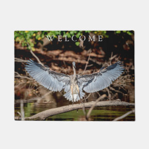Tapete Excelente Blue Heron em um registro