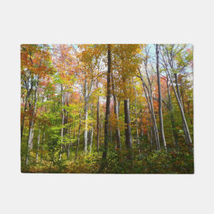 Tapete Fall Forest I Autumn Landscape Photoshop