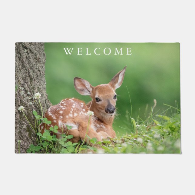 Tapete Fawn Adorável deitada debaixo de uma árvore (Frente)