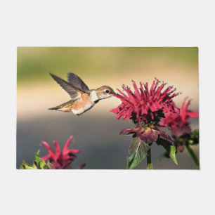 Tapete Febre do Hummingbird
